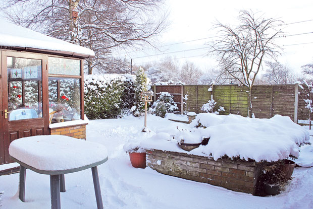 Утоплите корен, опрезно са сољу 